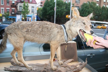 Billy's Antics and Props