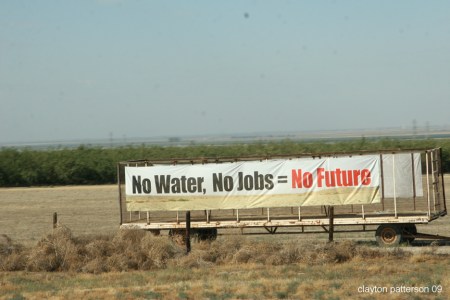 California_1514 California_1514